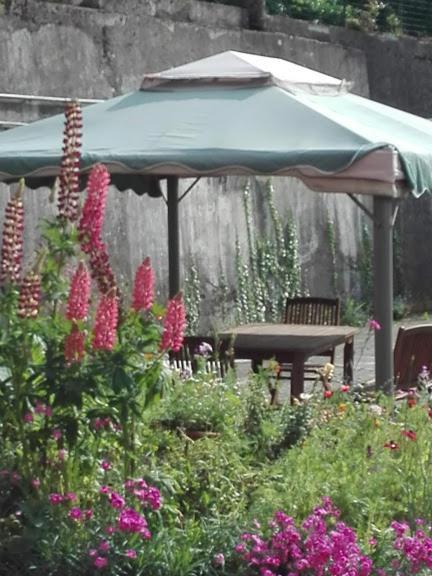La Torretta Bed & Breakfast Torriglia ภายนอก รูปภาพ
