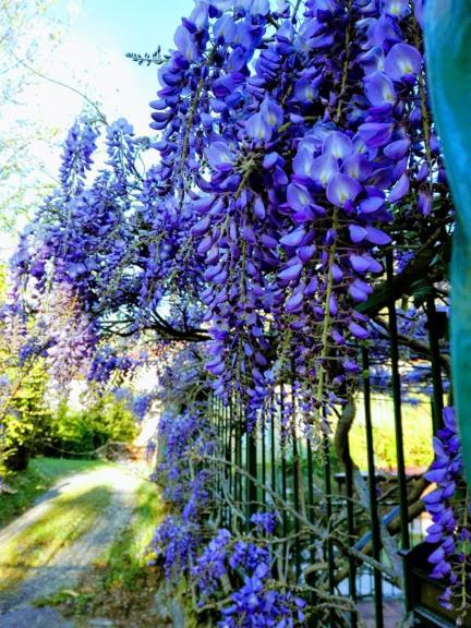 La Torretta Bed & Breakfast Torriglia ภายนอก รูปภาพ
